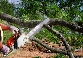 Reliable Geneva, NE  Tree Services Solutions